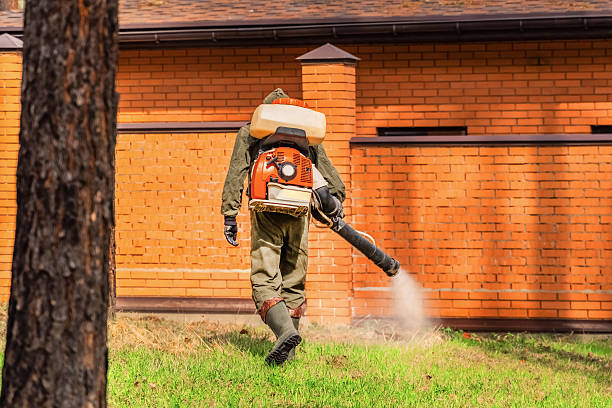 Trusted Cockroach Control service in Gold Bar, WA - Nex Pest Control